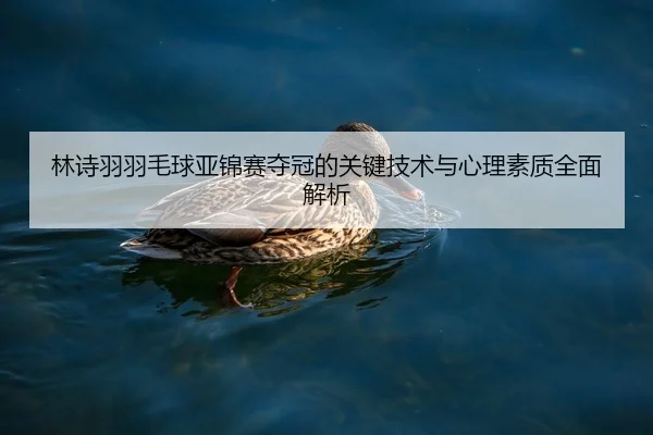 林诗羽羽毛球亚锦赛夺冠的关键技术与心理素质全面解析 | NG28